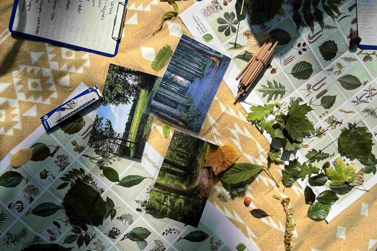 Affiches sur les arbres et matériel éducatif