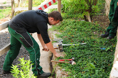 Садівництво та ландшафтний дизайн